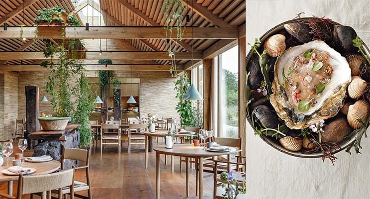 Culinary Pilgrimages: 8 Iconic Restaurants for the Ultimate Gastronome