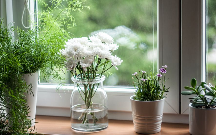 Enhancing Your Windowsill with the Right Flowers