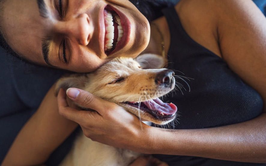 The Benefits of Owning a Pet Dog in Your Life